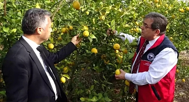 Mersin'de Limon Aromalı Ürünlere Karşı Denetim Başlatıldı