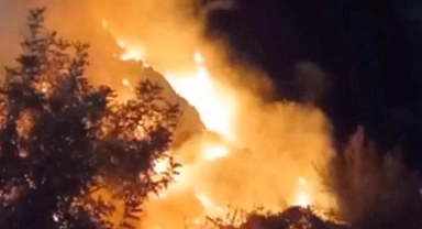 Erdemli'de çalılıkta çıkan yangın söndürüldü