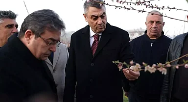 Mersin'de Zirai Dondan Etkilenen Arazilerde İnceleme