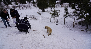 Soğuk Havada Kırsal'daki Hayvanlar Unutulmadı