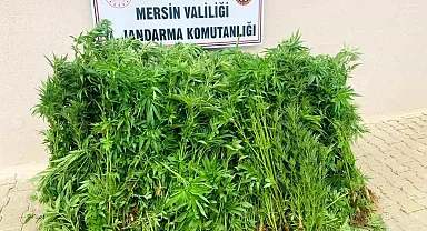 Mersin'de Uyuşturucu Madde Üretiminden Tutuklama