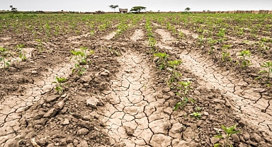 Meteorolojik kuraklık arttı! 4 bölgede 'şiddetli kuraklık' tehlikesi