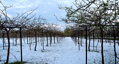 Erdemli'de Çiftçiyi Şimdide dolu vurdu!