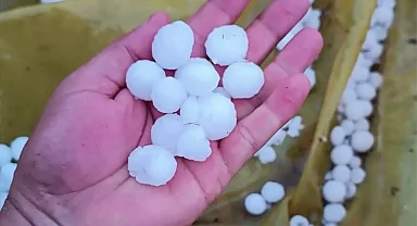 Erdemli'de Dolu Tarım Alanlarına Zarar Verdi