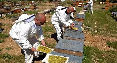 Mersin'de Polen Hasadı Başladı, Fiyatı 1300 TL