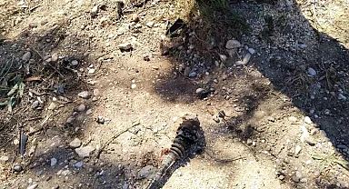 Mersin'de Ters Dönerek Kazadan Kurtulan Sürücü Yara Almadan Çıktı