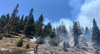 Erdemli'de çıkan orman yangını kontrol altına alındı