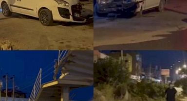 Tır sürücüsü uyudu, ortalık savaş alanına döndü.