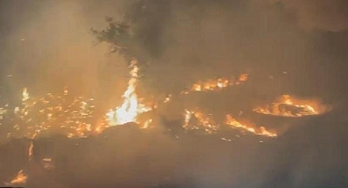 Diyarbakır'ın Ergani ve Lice ilçelerindeki yangın söndürüldü