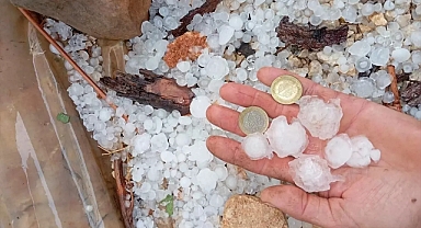 Erdemli'de Dolu Tarım Ürünlerine Zarar Verdi