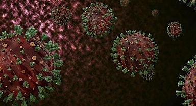 DSÖ: Afrika'da yaygın M çiçeği virüsüne karşı sürekli bulaşma riski nedeniyle hedefli aşılama şart