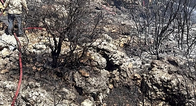 Mersin'de Orman Dışı Yangın Kontrol Altına Alındı