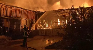 Oğullarının düğününde evleri yandı