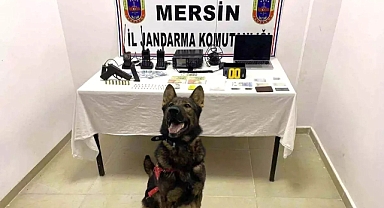 Erdemli'de Uyuşturucu Ticareti Operasyonu: 1 Tutuklama