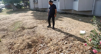 Tam 14 metre uzunluğunda! 4 yıl boyunca toprak altında kaldı, şimdi yeniden çıkarılacak