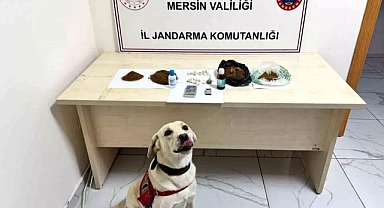 Erdemli'de Uyuşturucu Ticareti Yapan 5 Şüpheli Tutuklandı