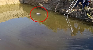 Antalya'da korkunç olay! Su dolu çukurdan kadın cesedi çıktı