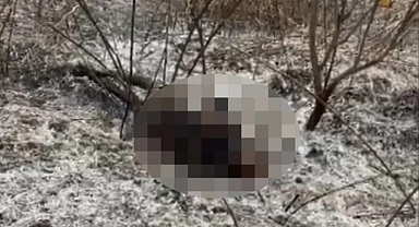 Günar'da Bahçede Yangın: 70 Yaşındaki Adam Hayatını Kaybetti