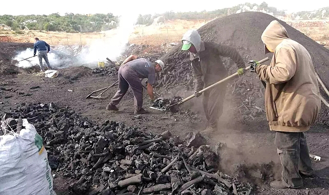 Saraç Ailesi'nin 33 Yıldır Süren Mangal Kömürü Üretimi